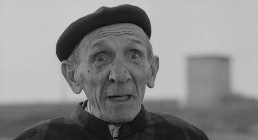 大きな鳥と小さな鳥の画像