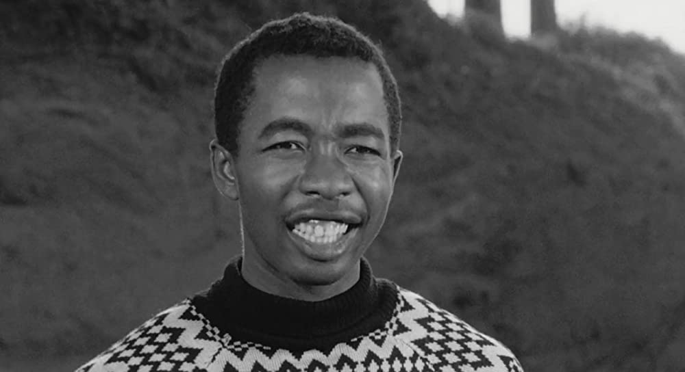 大きな鳥と小さな鳥の画像