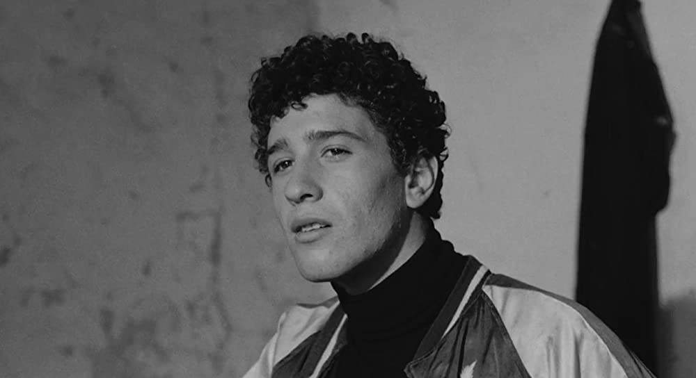 大きな鳥と小さな鳥の画像