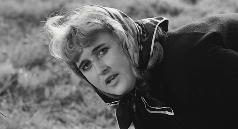 大きな鳥と小さな鳥の画像