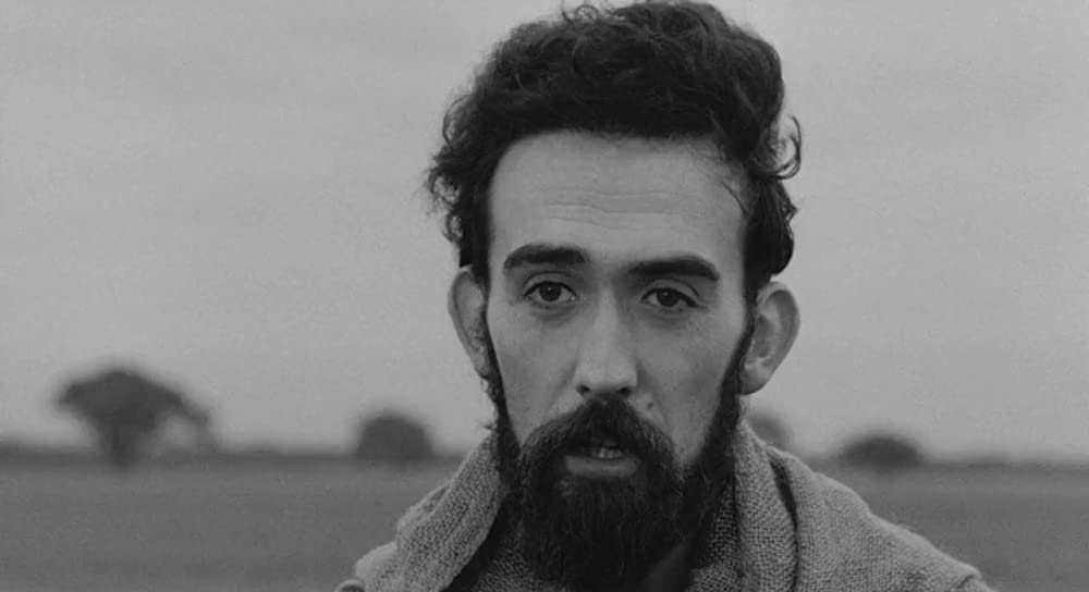 大きな鳥と小さな鳥の画像