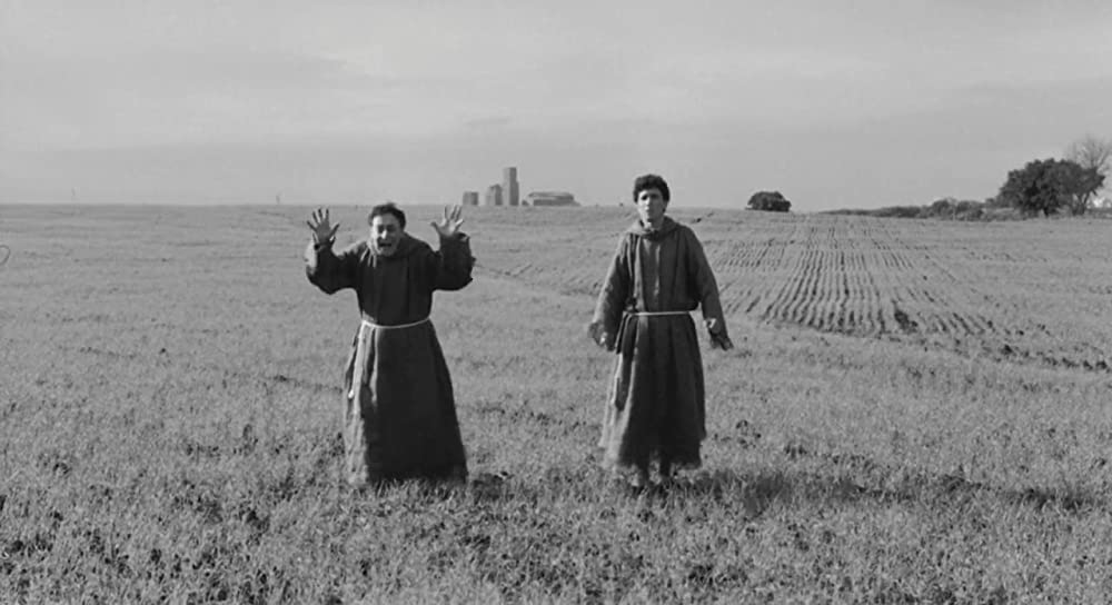 大きな鳥と小さな鳥の画像