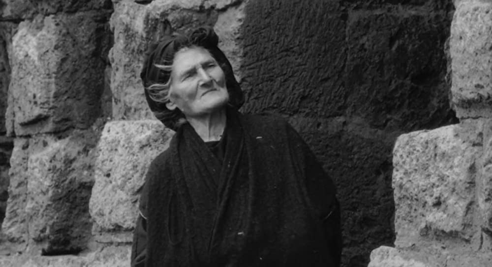 大きな鳥と小さな鳥の画像