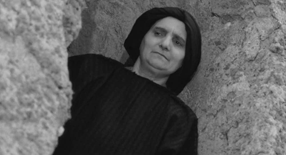 大きな鳥と小さな鳥の画像