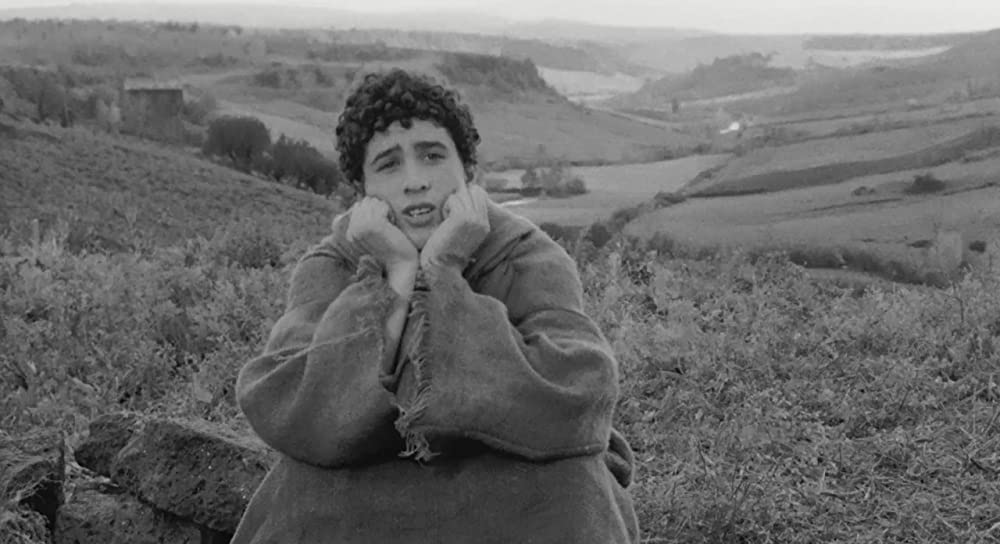 大きな鳥と小さな鳥の画像