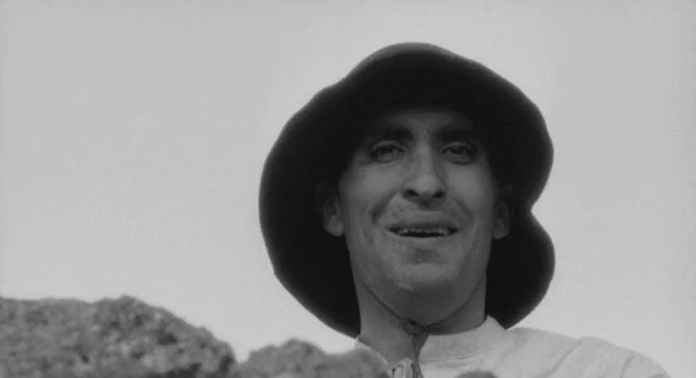 大きな鳥と小さな鳥の画像