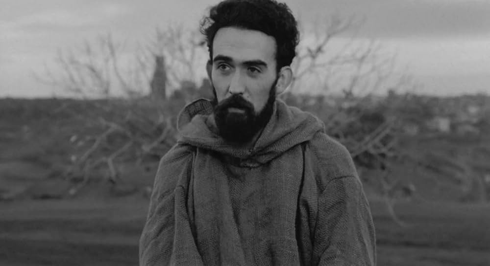 大きな鳥と小さな鳥の画像