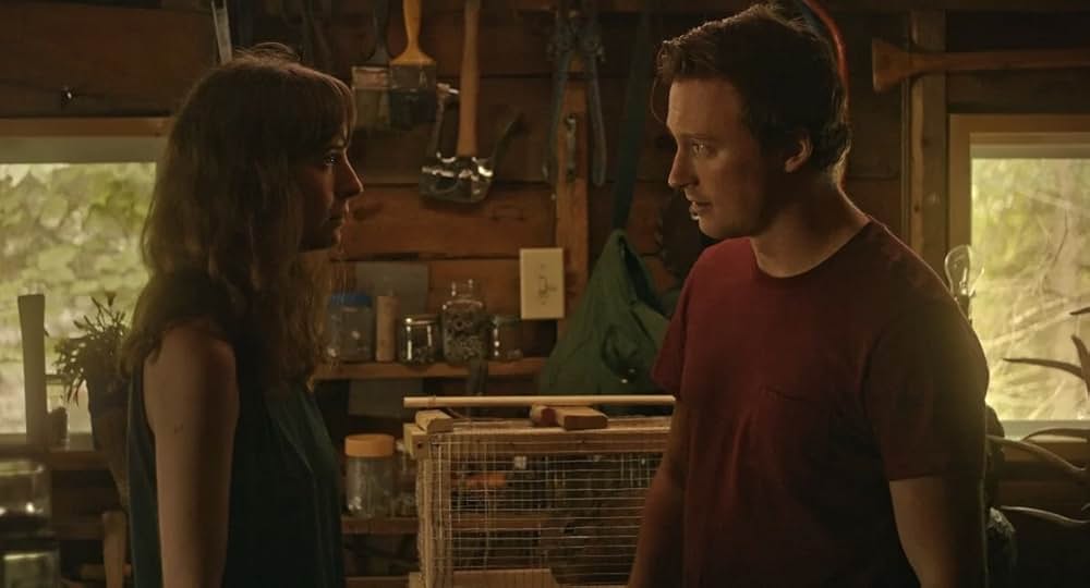 Violation（原題）の画像