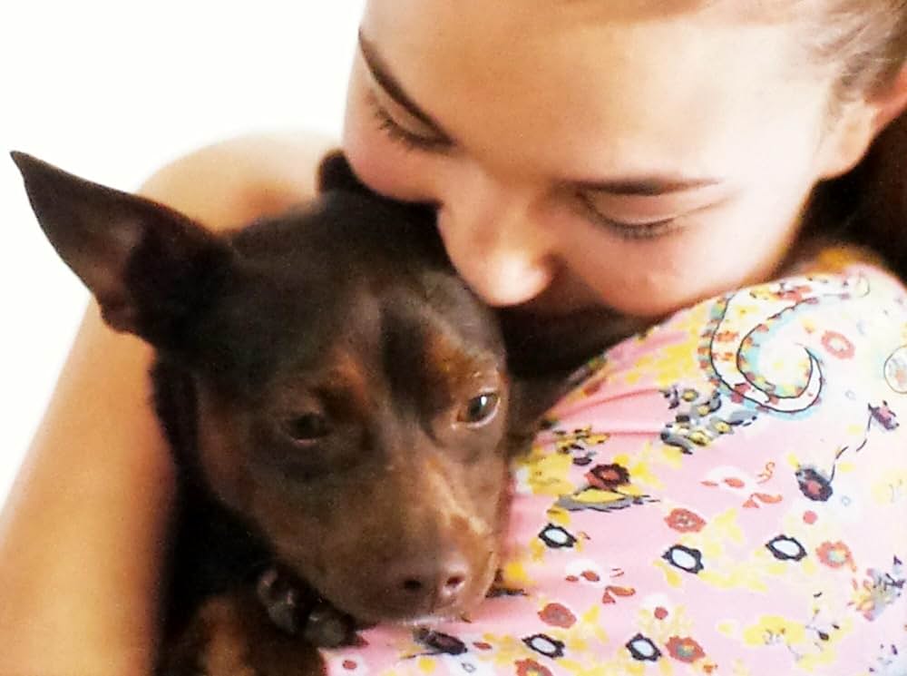 マーダー・ガール 少女の裏の顔の画像