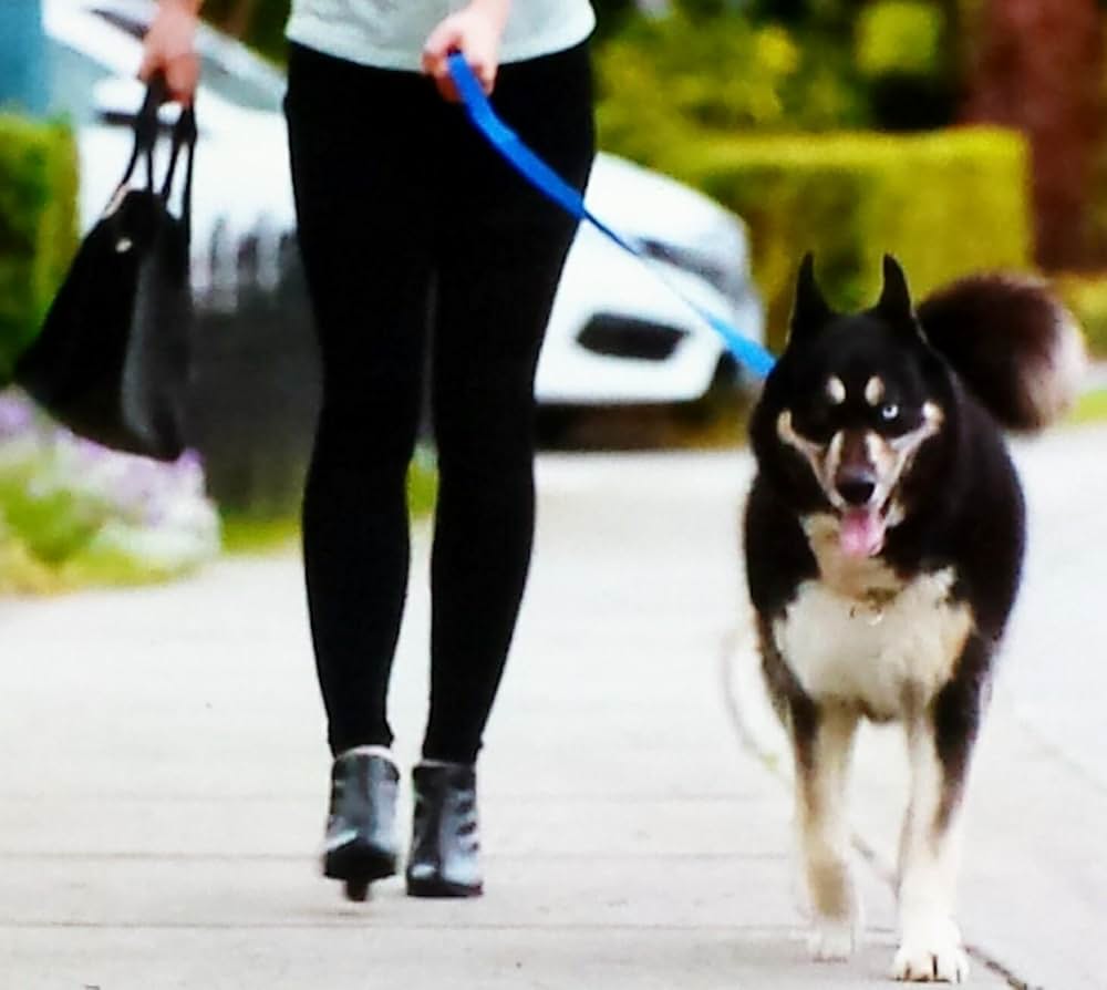 マーダー・ガール 少女の裏の顔の画像