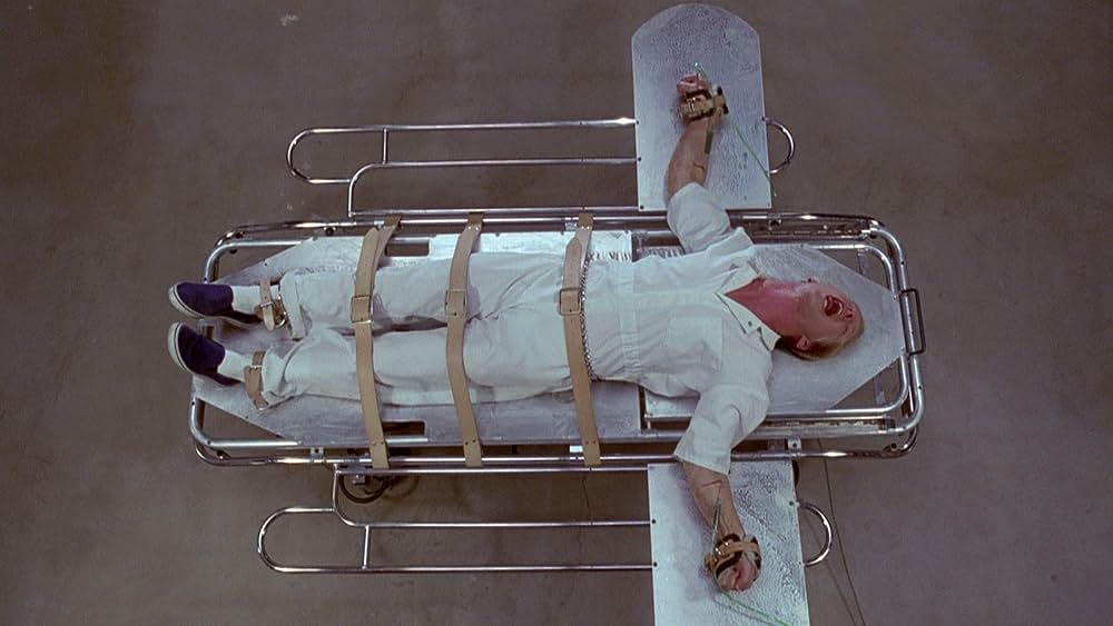 ザ・スローター／赤い迷宮の画像