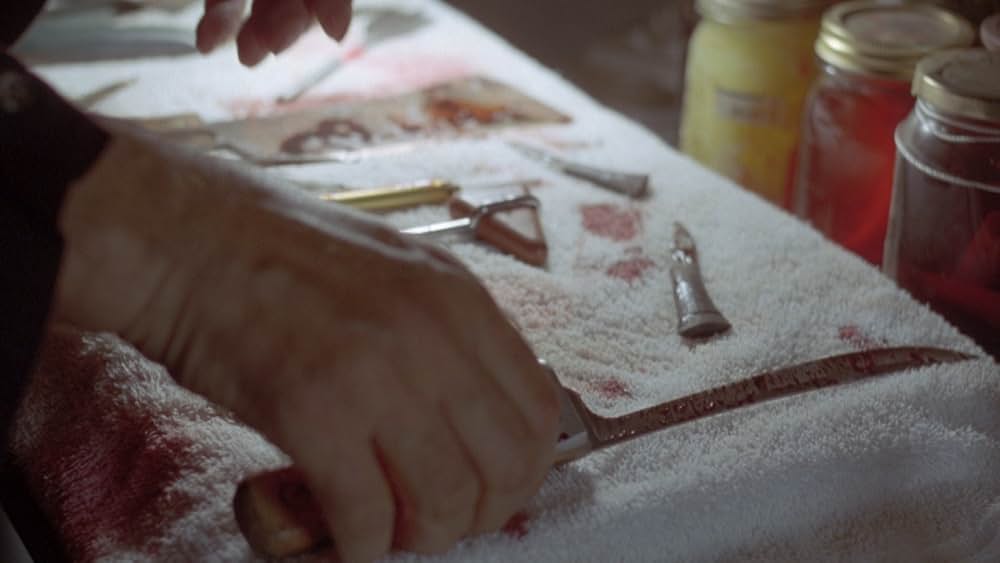 ザ・スローター／赤い迷宮の画像