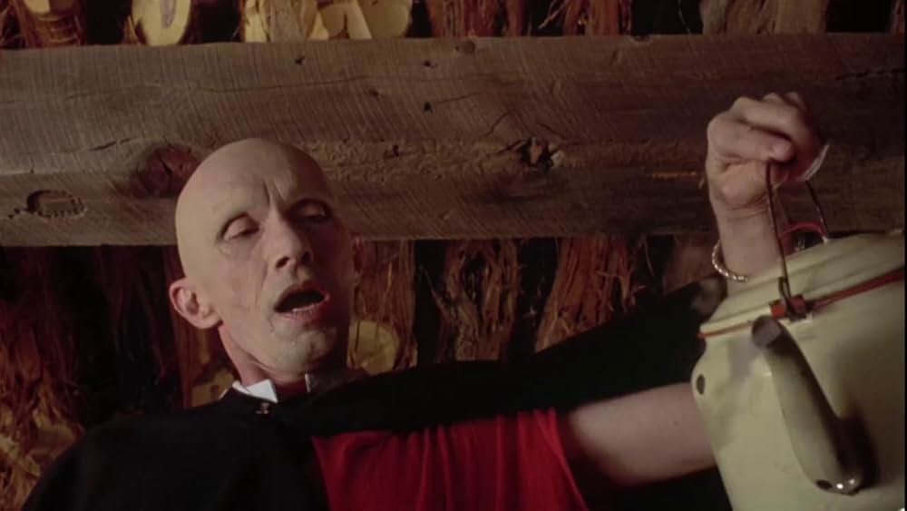 ザ・スローター／赤い迷宮の画像