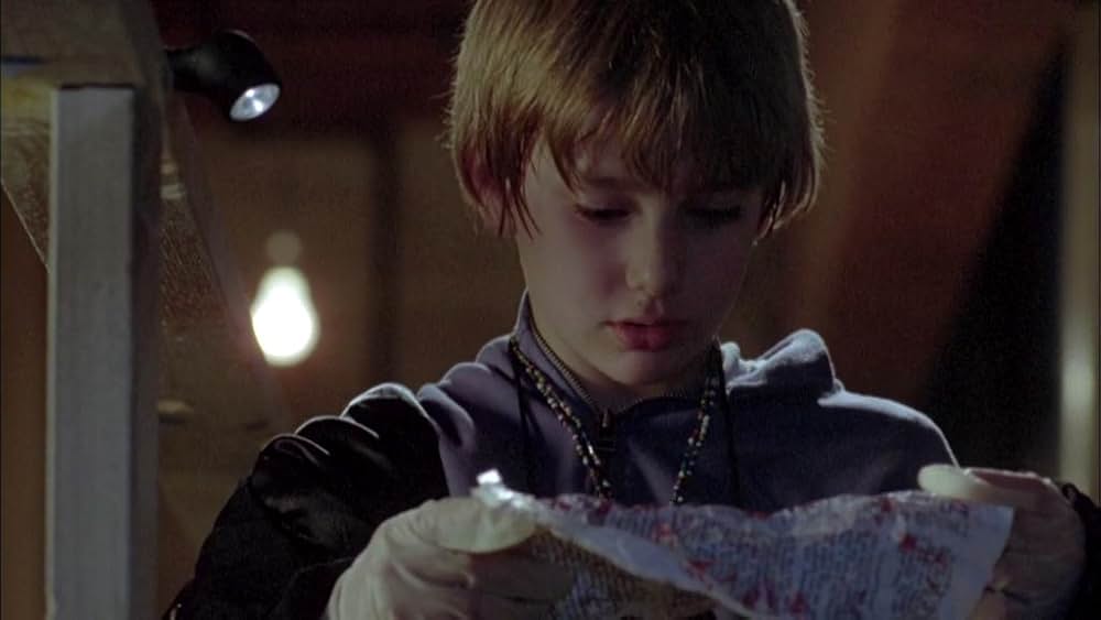 ザ・スローター／赤い迷宮の画像