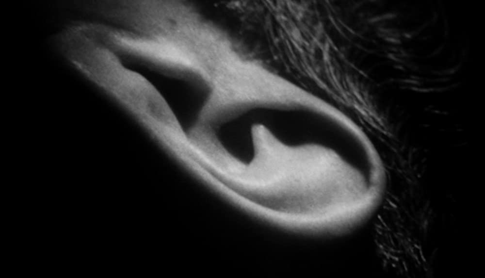 セコンド／アーサー・ハミルトンからトニー・ウィルソンへの転身の画像