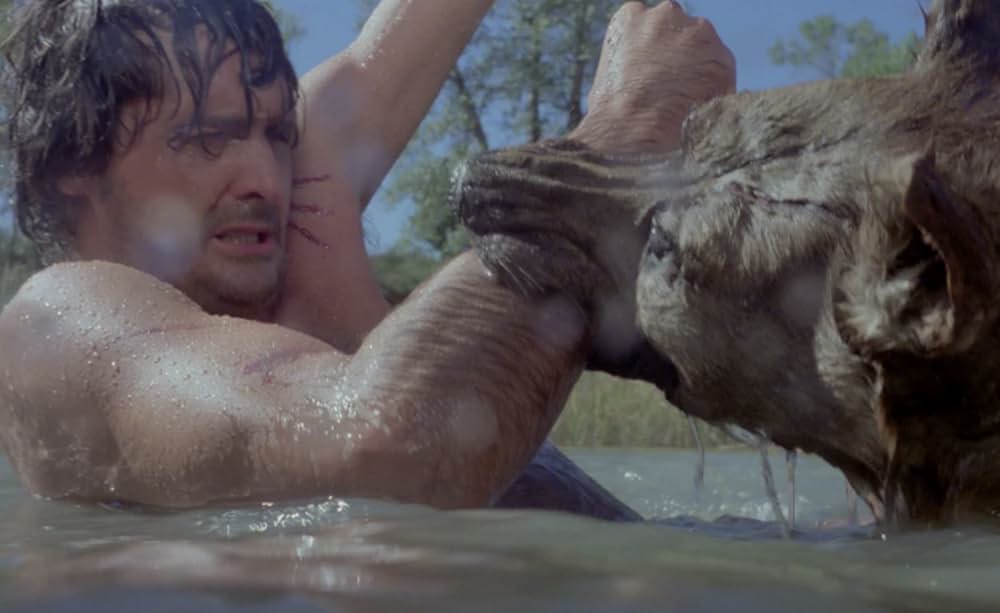 ドッグチェイスの画像