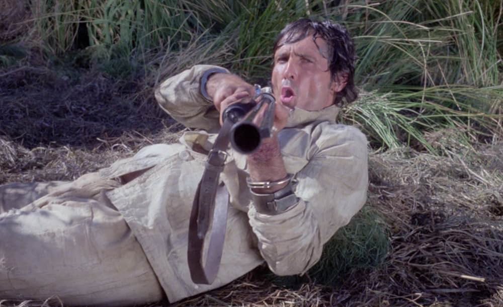 ドッグチェイスの写真