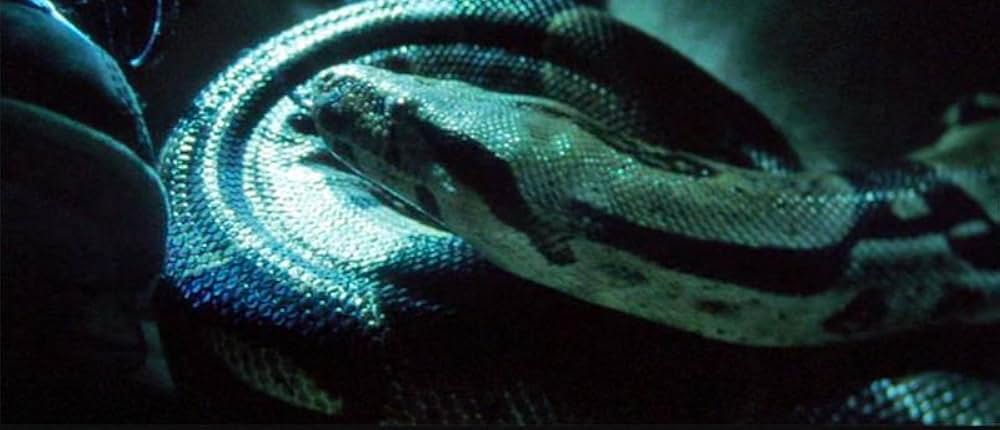 60セカンズの画像