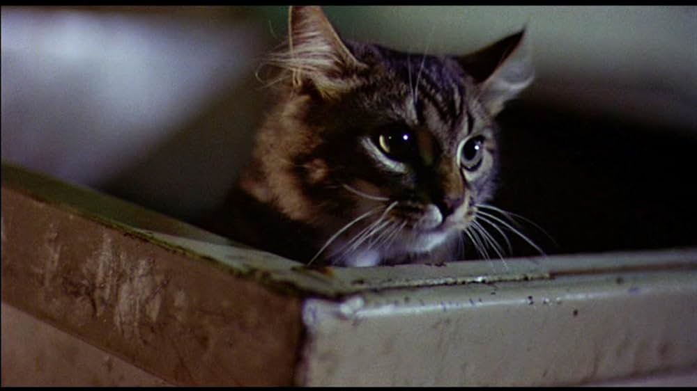 狙われた夜／血に染まる大晦日のロックパーティの画像