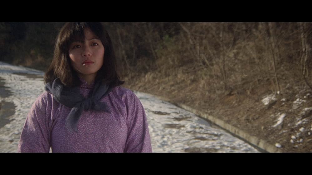 ポストマン・ファイツ・バック／巡城馬の画像