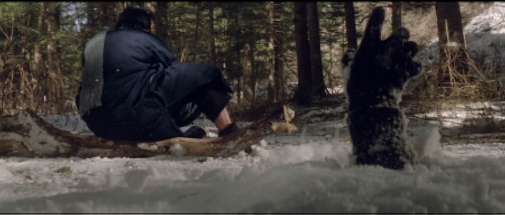 ポストマン・ファイツ・バック／巡城馬の画像