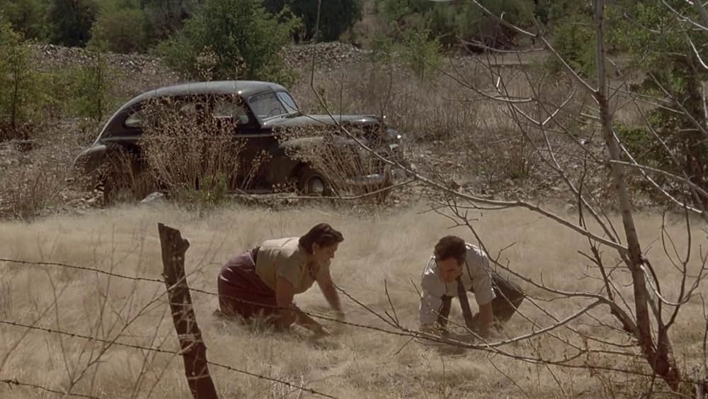 深紅の愛 DEEP CRIMSONの画像