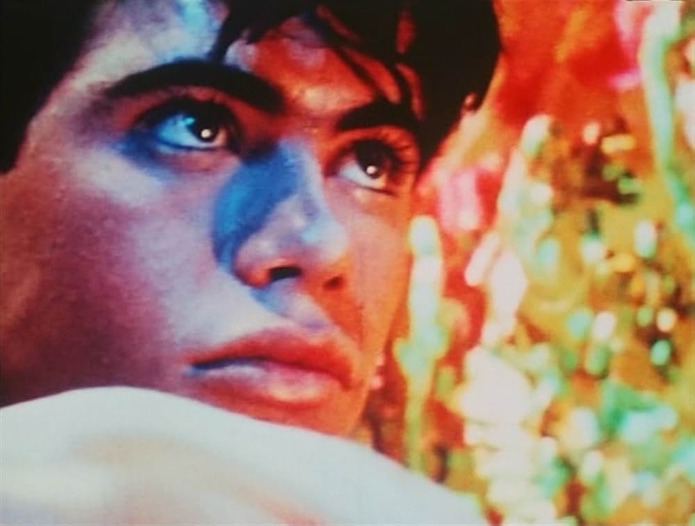 ピンクナルシスの画像