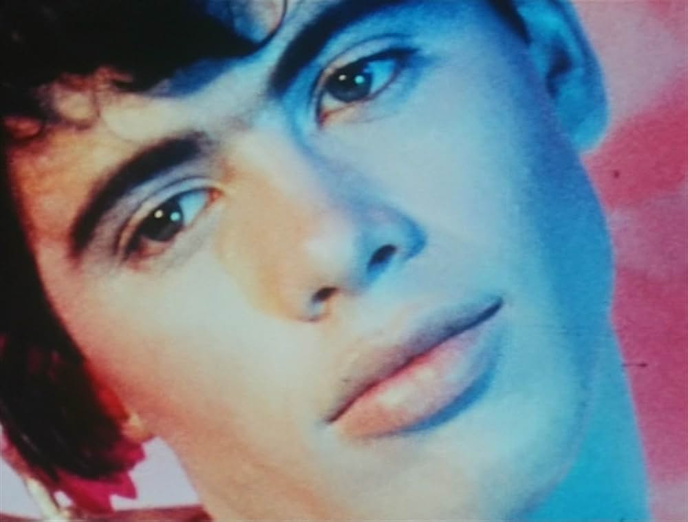 ピンクナルシスの画像