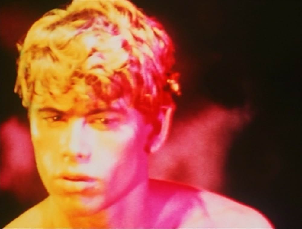 ピンクナルシスの画像