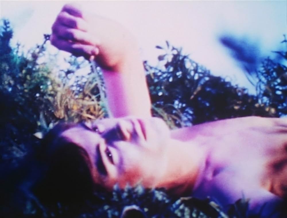 ピンクナルシスの画像