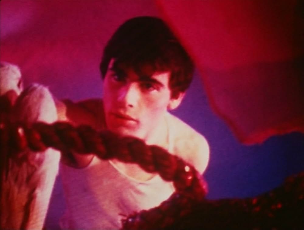 ピンクナルシスの画像