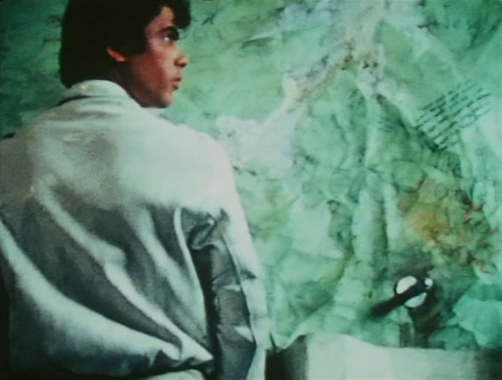 ピンクナルシスの画像