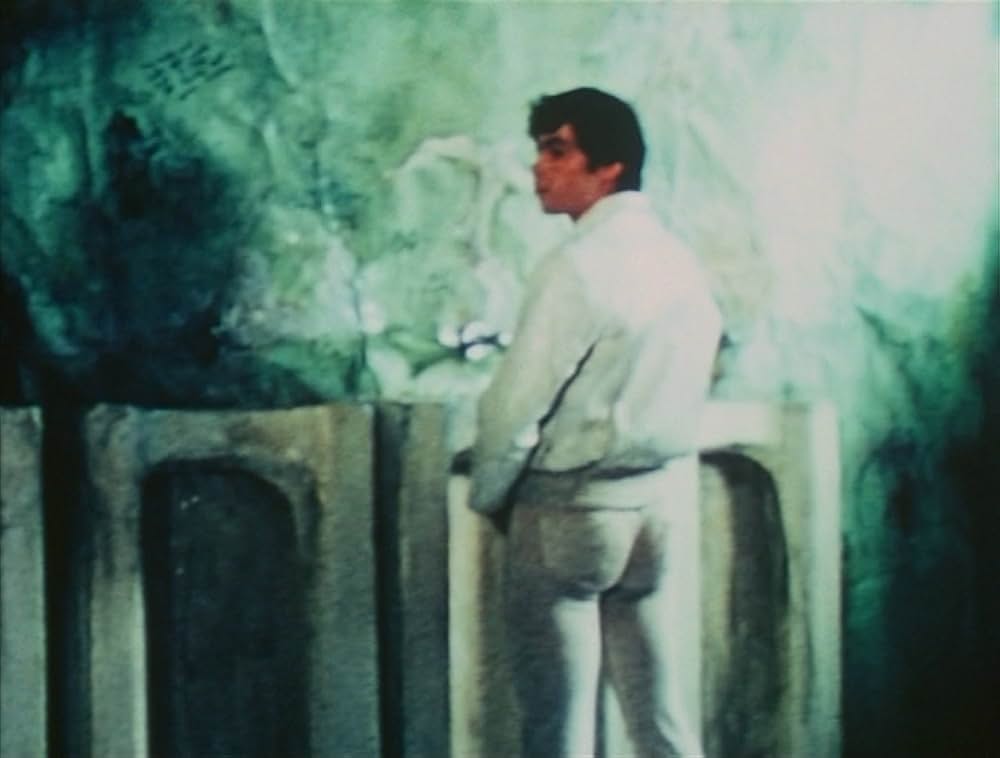 ピンクナルシスの画像