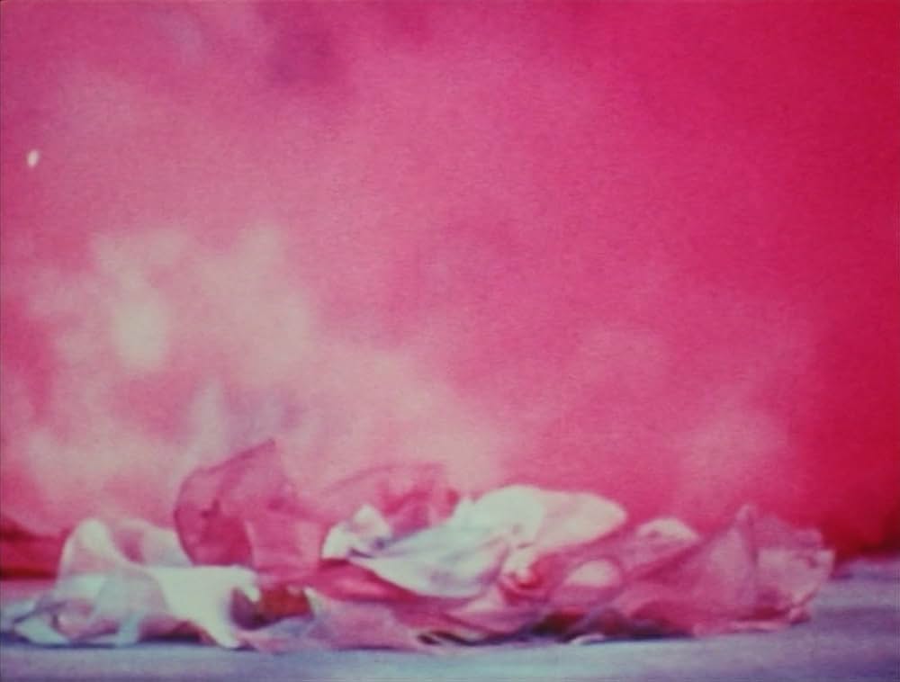 ピンクナルシスの画像