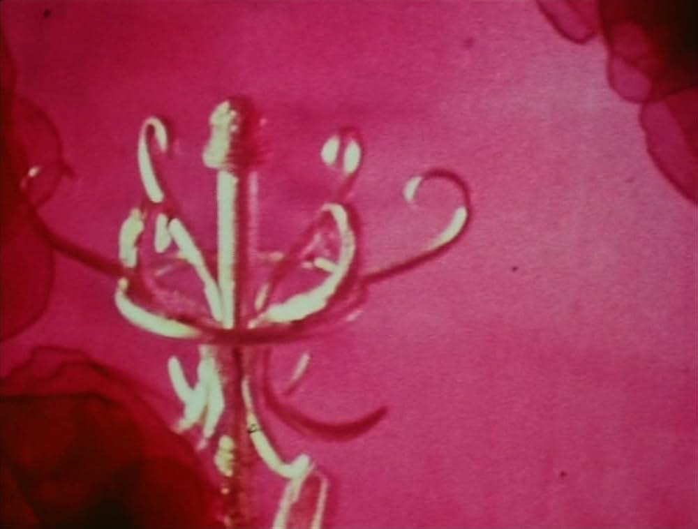 ピンクナルシスの画像