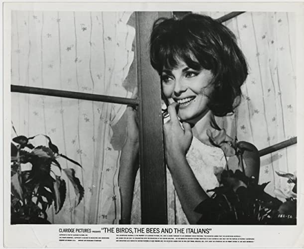 蜜がいっぱいの画像