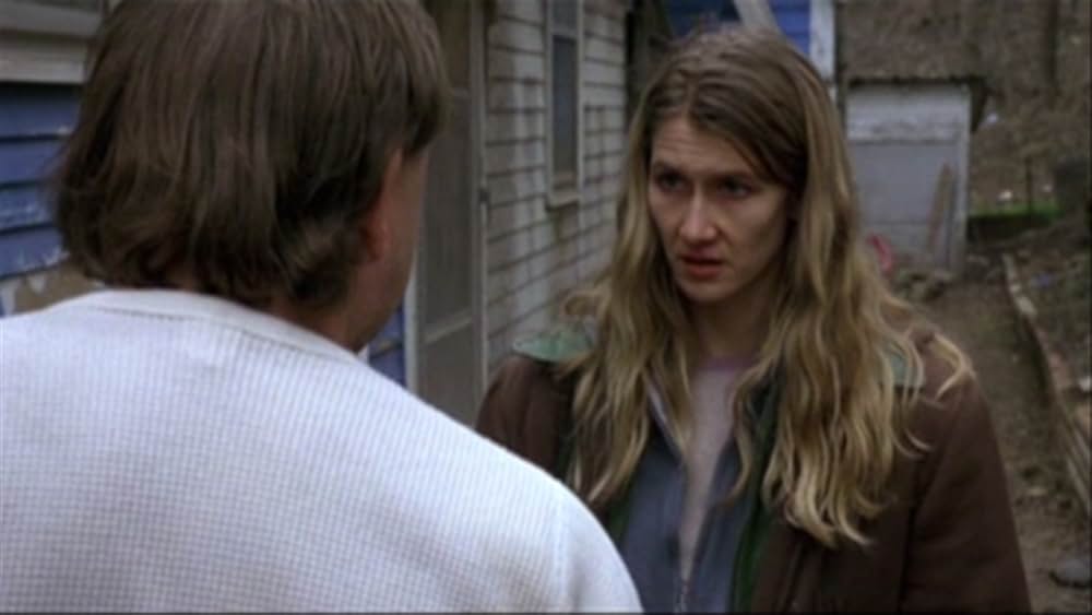 市民ルースの画像