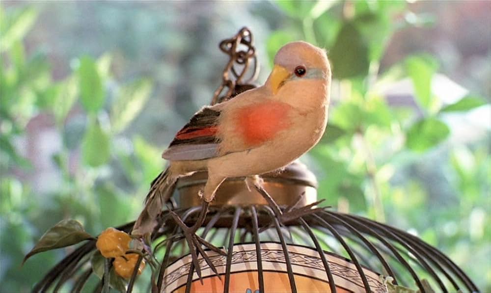 ライオンズ・ラブの画像