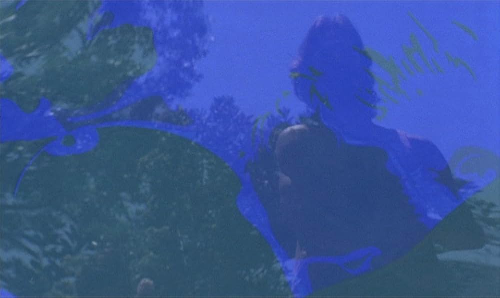 ライオンズ・ラブの画像