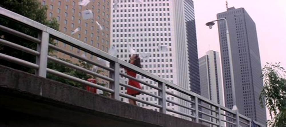 バックが大好きの写真