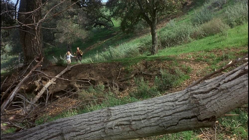 「シンシナティ・キッド」の画像