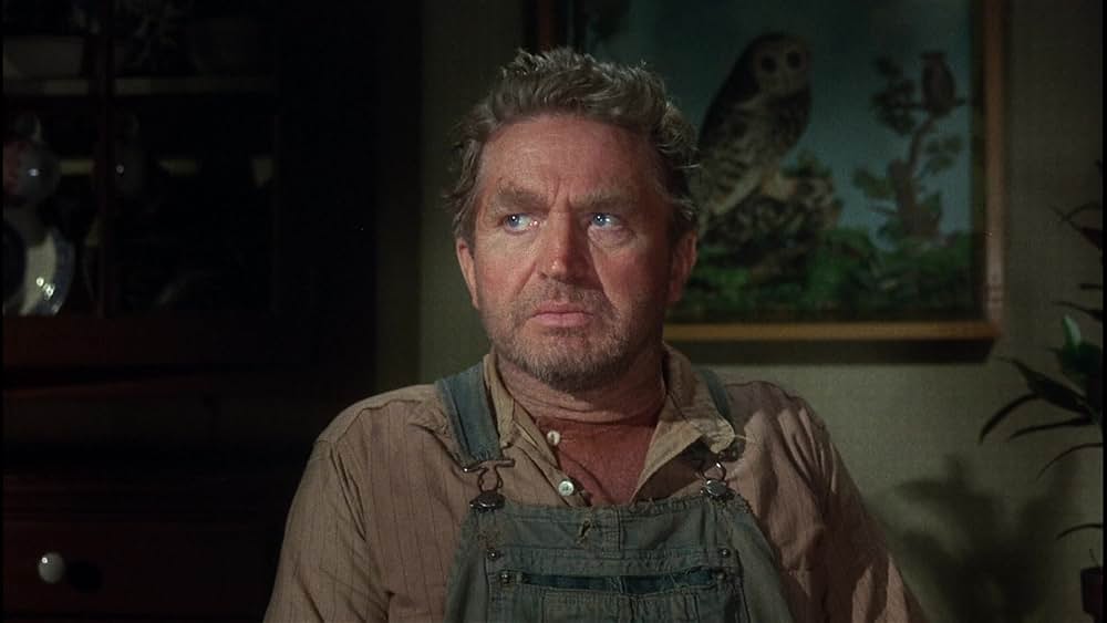 「シンシナティ・キッド」の画像