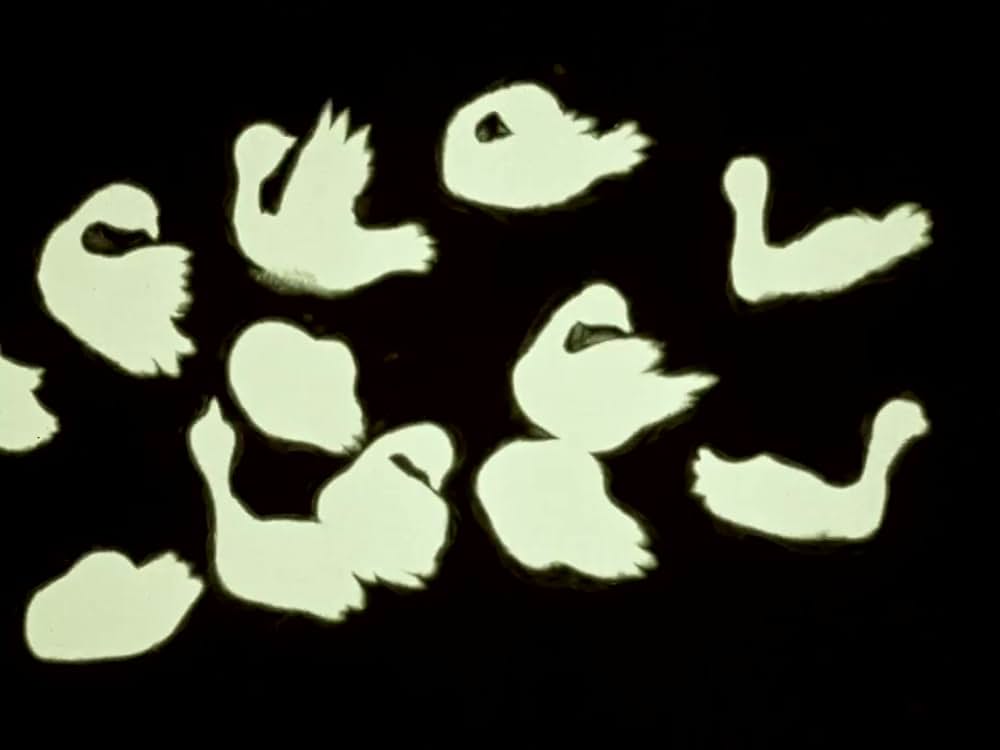 がちょうと結婚したふくろうの画像