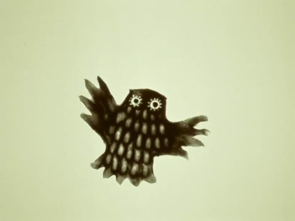 がちょうと結婚したふくろうの画像