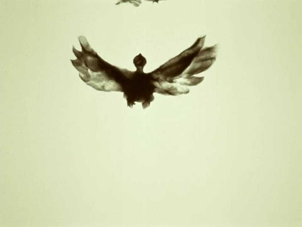 がちょうと結婚したふくろうの画像