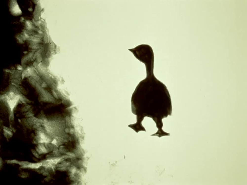 がちょうと結婚したふくろうの画像