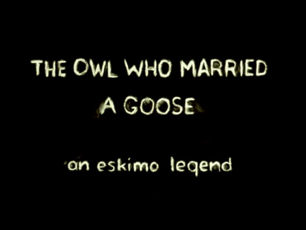 がちょうと結婚したふくろうの画像