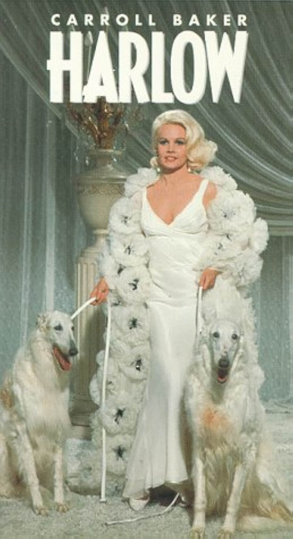 ハーローの画像