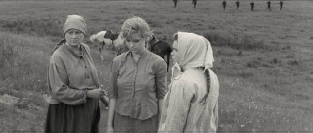 The Red and the White（英題）の画像