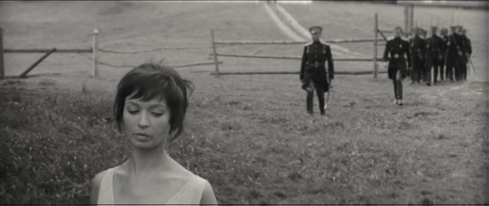 The Red and the White（英題）の画像